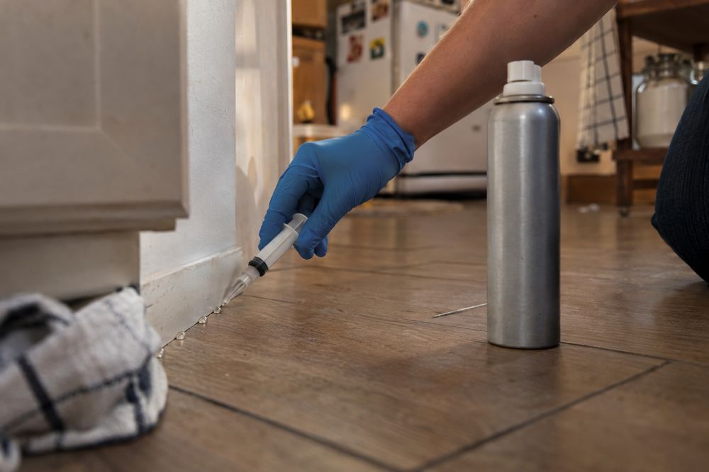 Gloved hand applying cockroach gel bait along a baseboard
